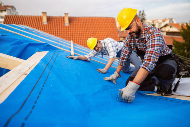 Best Local Roofing Companies  in Three Rivers, MI