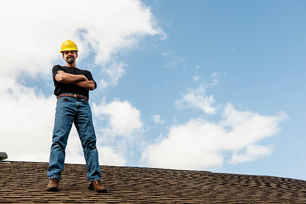 Best Roof Gutter Cleaning  in Three Rivers, MI