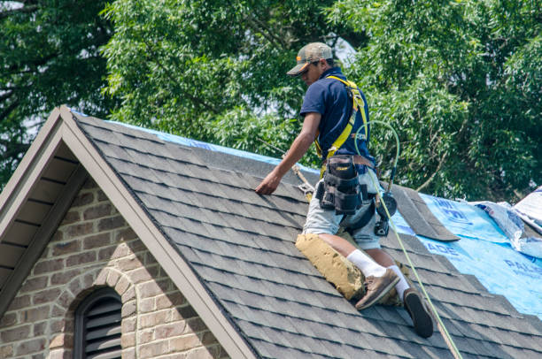 Best Roof Repair Services  in Three Rivers, MI